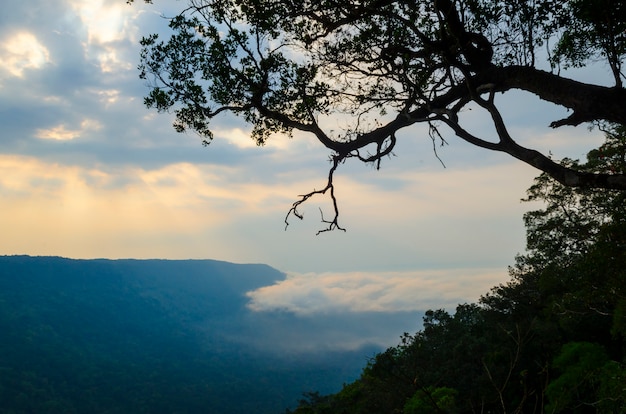 Panorama View Pha Deaw Dai Cliffs of The Khao Yai National Park in Thailand