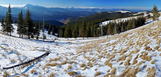 Panorama of the winter landscape in the mountains of Carpathians