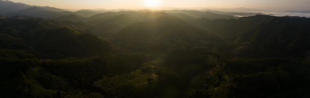 Panoramic landscape of mountains layer and forests The sun rays are shining through the fog The play of light and shadows dramatic natural scenery north of thailand aerial view