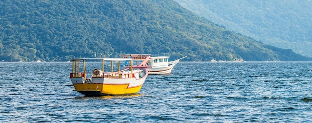 Panoramic landscape with boats in the lake in Brazil