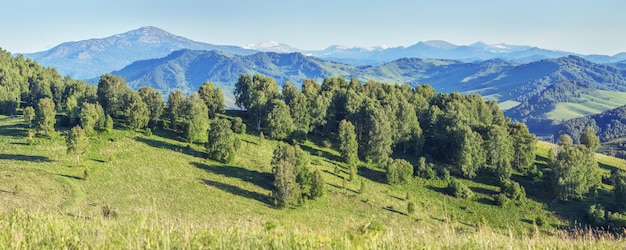 Panoramic mountain view forest