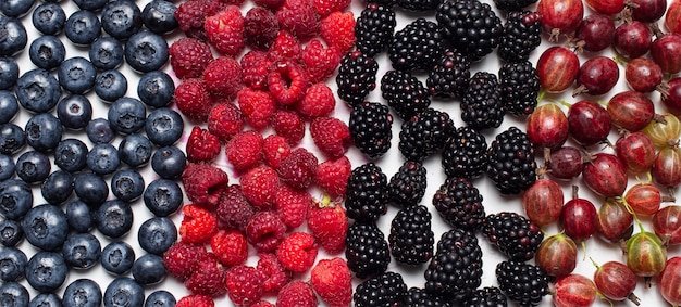 Panoramic photo of blueberries, raspberries, blackberries and gooseberries.