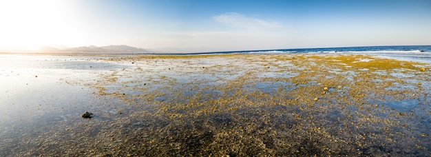 Panoramic photo of corals and rocks on the ocean coast. Mountains and blue sky on the background