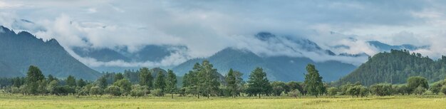 Photo panoramic rural view morning mist summer