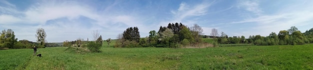 Photo panoramic shot of trees on field against sky