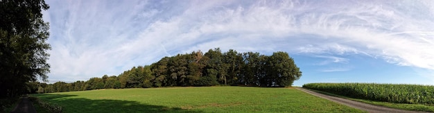 Photo panoramic shot of trees on land against sky