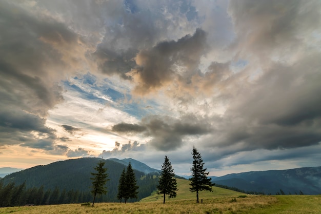 Panoramic summer view, green grassy valley on distant woody mountains background under cloudy sky.