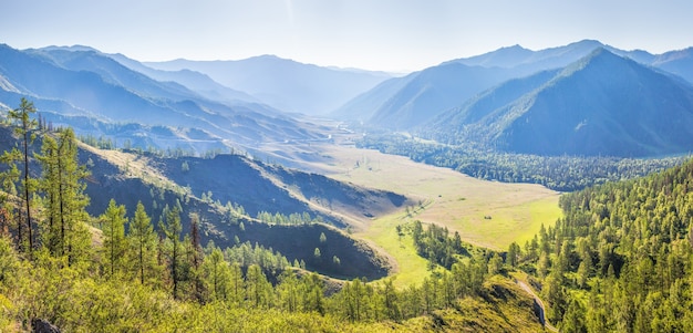 Panoramic view of the Altai Mountains, a picturesque valley on a summer sunny day