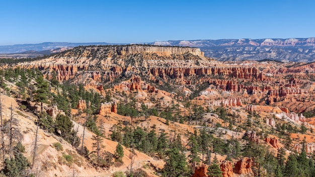 Panoramic view of amazing hoodoos sandstone formations in scenic Bryce Canyon National Parkon on a sunny day. Utah, USA