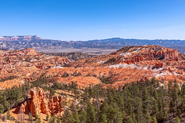 Photo panoramic view of amazing hoodoos sandstone formations in scenic bryce canyon national parkon on a sunny day. utah, usa