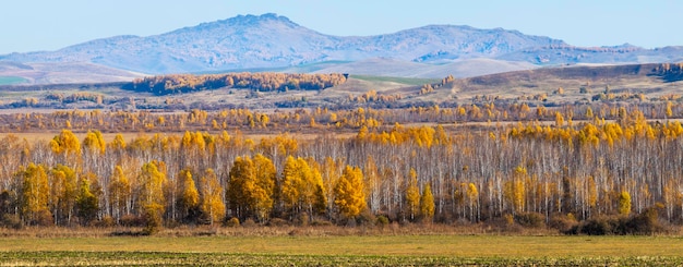 Panoramic view of autumn nature