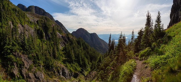 Panoramic view of Canadian Mountain Landscape during a vibrant summer day