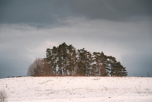 A panoramic view of the covered frost trees in the snowdrifts