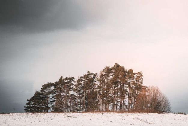 A panoramic view of the covered frost trees in the snowdrifts