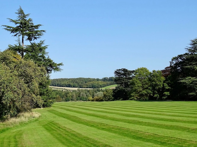 Photo panoramic view of the english countryside on a sunny autumn day