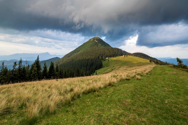 Panoramic view of green grassy valley, pine trees and rural small peasant huts at foot of distant woody mountain under dark blue cloudy sky before thunderstorm. Beauty of nature, tourism, traveling.