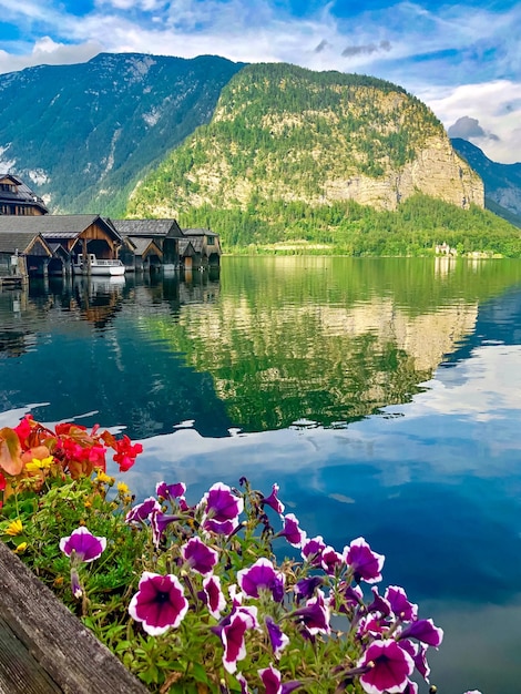 Panoramic view of hallstatt town in Austria, old town near lake.