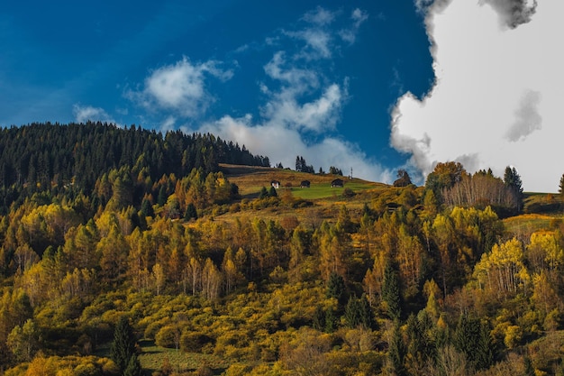 Panoramic view of landscape against sky