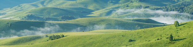 Panoramic view of mountain hills spring greenery background