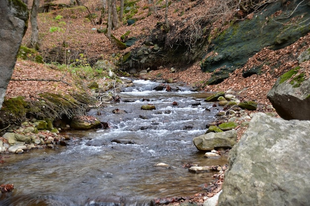 Panoramic view of the mountain stream. Rapid streams of a mountain stream on the rifts.