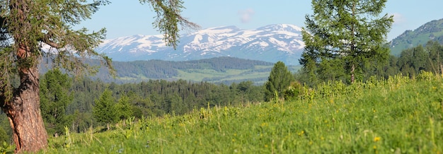 Panoramic view of the mountains on a summer day