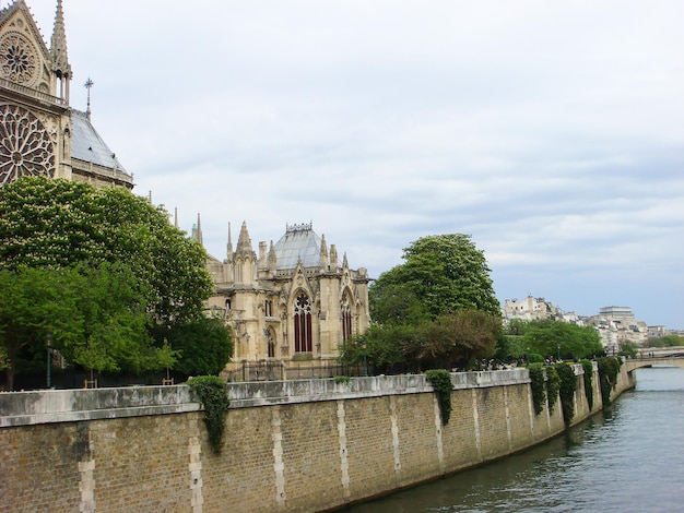 Panoramic view of notre dame anf river on a spring day Paris France