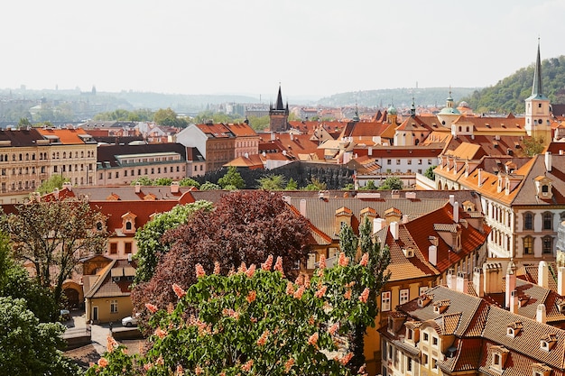 Panoramic view of the old town with roofs in prague