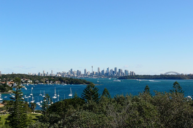 Photo panoramic view of the skyline of sydney with harbour bridge bay and harbour