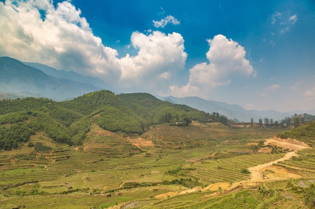 Panoramic view of Terraced rice field in Sapa, Lao Cai, Vietnam