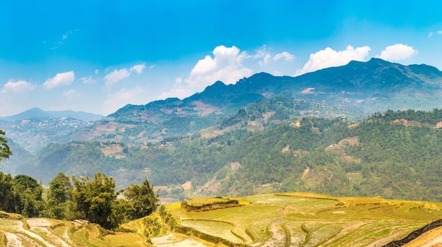 Panoramic view of Terraced rice field in Sapa, Lao Cai, Vietnam