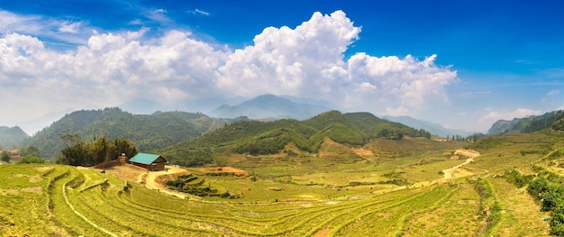 Panoramic view of Terraced rice field in Sapa, Lao Cai, Vietnam