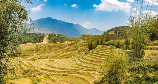 Panoramic view of Terraced rice field in Sapa, Lao Cai, Vietnam