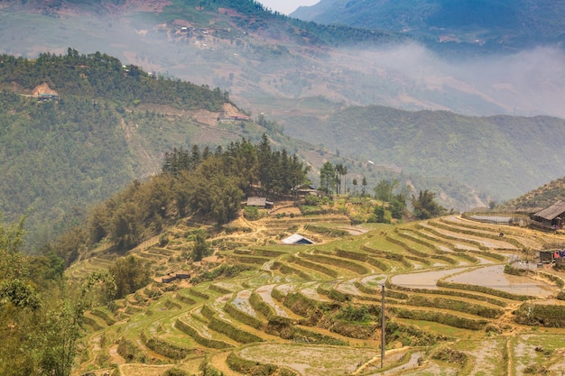 Panoramic view of Terraced rice field in Sapa, Lao Cai, Vietnam