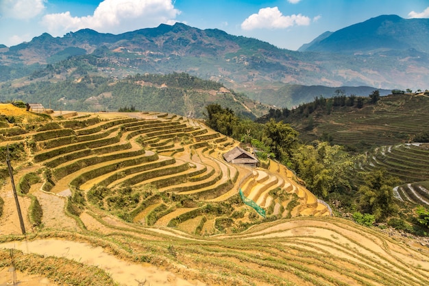 Panoramic view of Terraced rice field in Sapa, Lao Cai, Vietnam