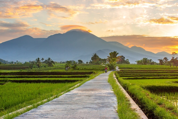 Panoramic view of the village when the morning is clear and the sky is beautiful