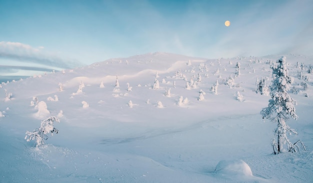 Panoramic view of a winter snowcovered slope with a full moon Arctic harsh nature Mystical fairy tale of the winter frost forest