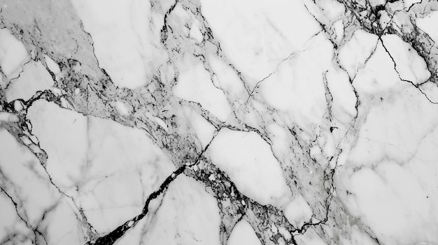 Panoramic white background with a marble stone texture offering an elegant and sophisticated surfac