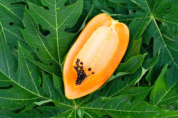 Photo papaya fruit on green leaves