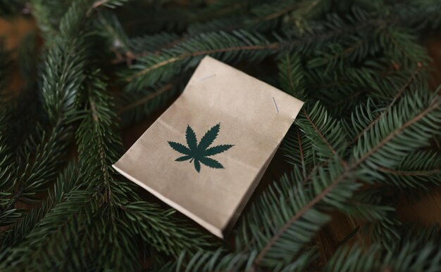 Paper bag with marijuana lying among green christmas tree branches closeup