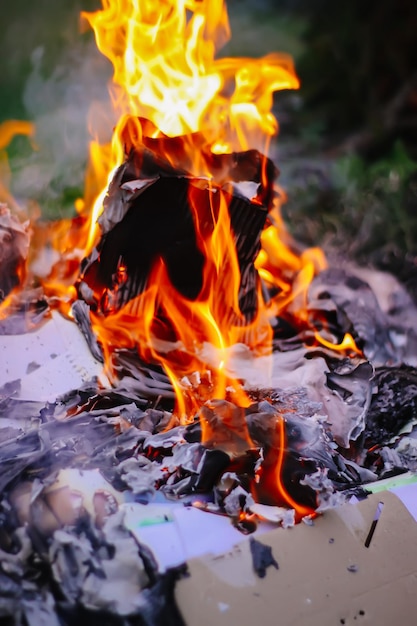 Paper burning on green summer grass outdoors.