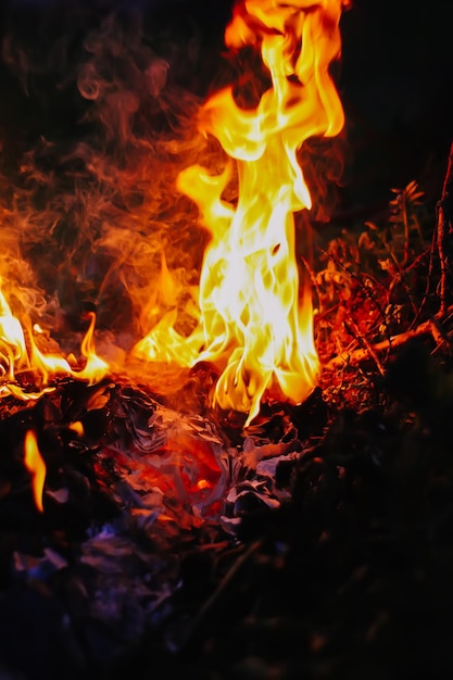 Paper burning on green summer grass outdoors.