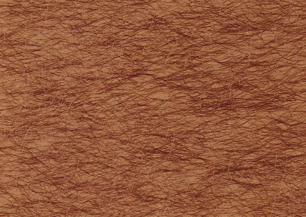 Paper Cloth Wood Texture