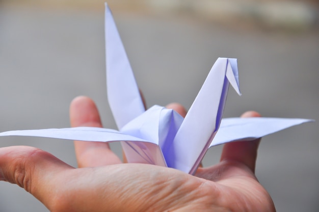 Paper crane's