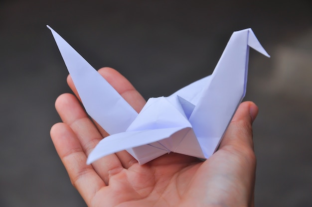 Paper crane's