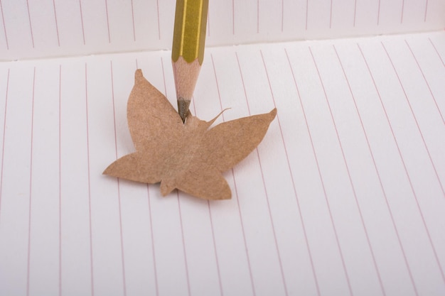 Paper cut out in shape of a butterfly