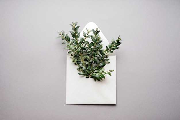 Paper envelope with green branches