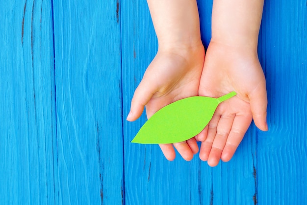 Paper green leaf in hands of child.