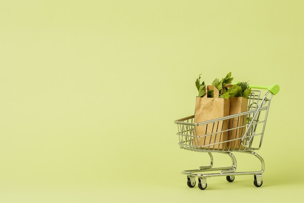 Paper shopping bags with fresh green salad in cart