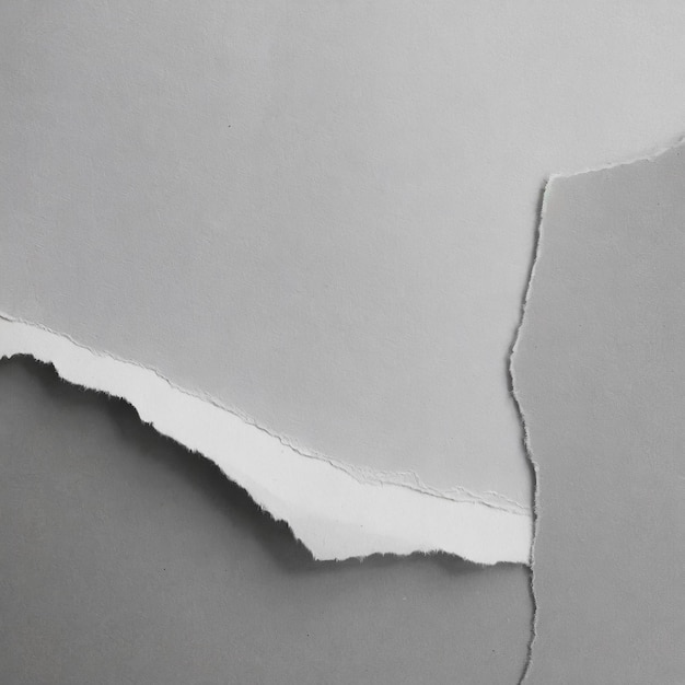 Paper Texture