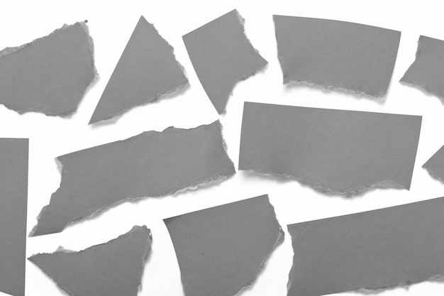 paper torn into pieces isolated on white background